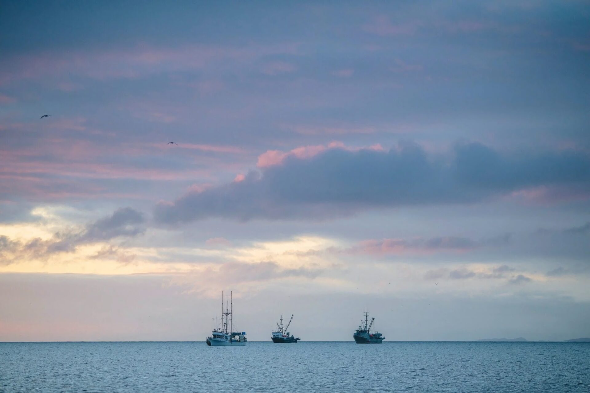 Fishing boats resting on a calm sea under a soft pastel dusk